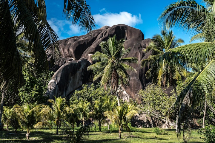 Michael Loos - Seychelle-02744