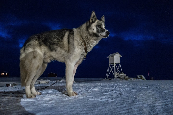 Michael Loos - DSC02849