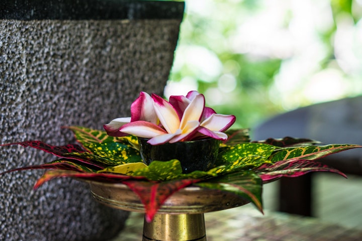 Michael Loos - Seychelle-02467