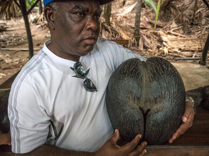 Michael Loos - Seychelle-02656