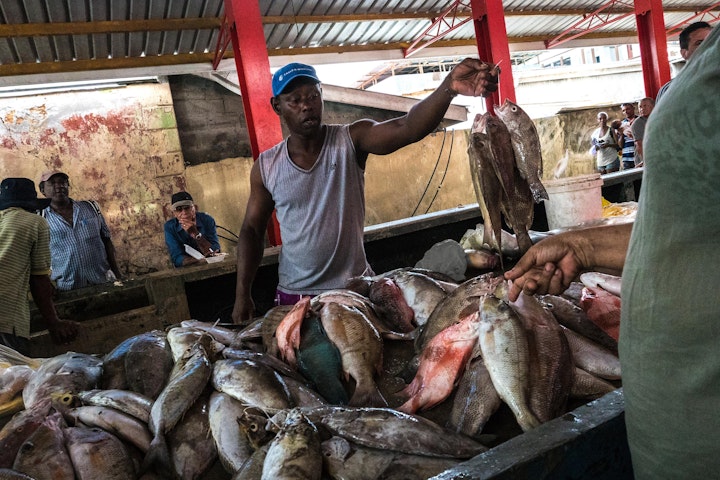 Michael Loos - Seychelle-02930