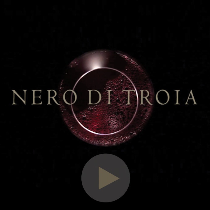 Michael Loos - VIDEO CREATION Nero di Troia Wine Lands