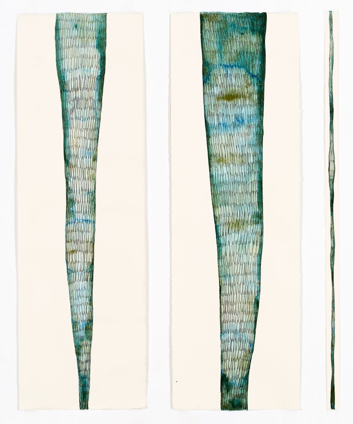 Graphite & watercolour on paper, 560 x180mm + 560 x 180mm + 560 x 20mm, 2020