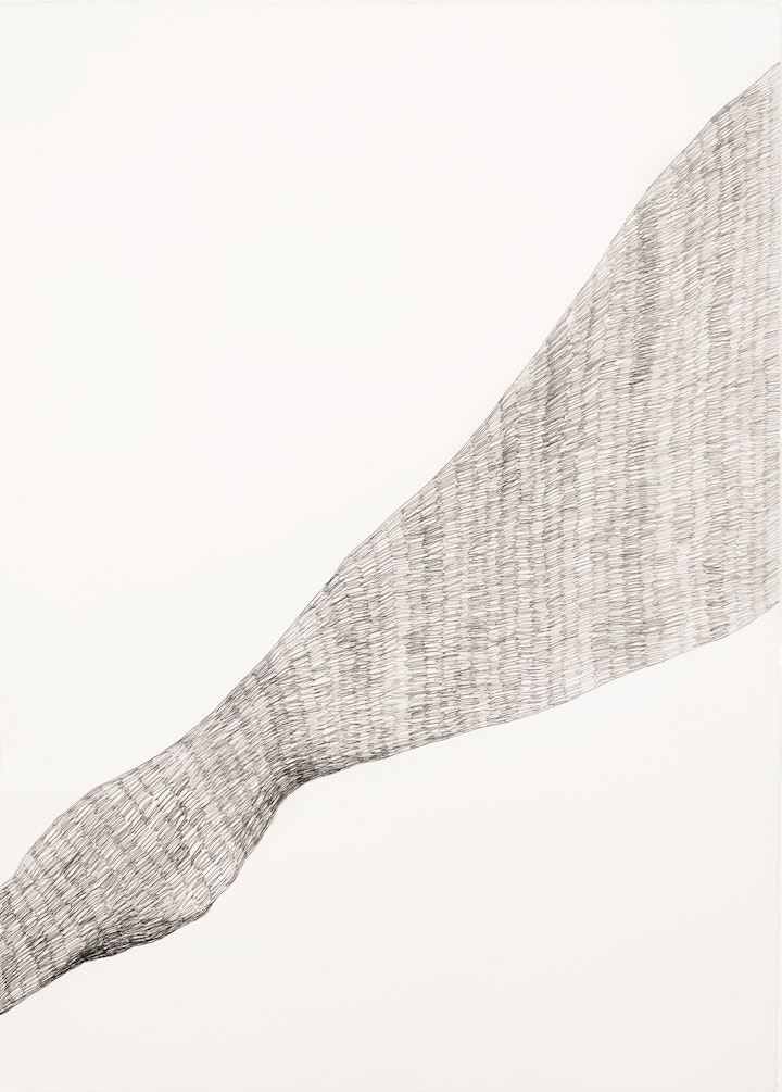 Rushing Out
Graphite on paper, 1060 x 755mm, 2020