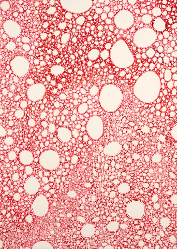 Beneath the Surface
Acrylic & ink on paper, 1065 x 755mm, 2019