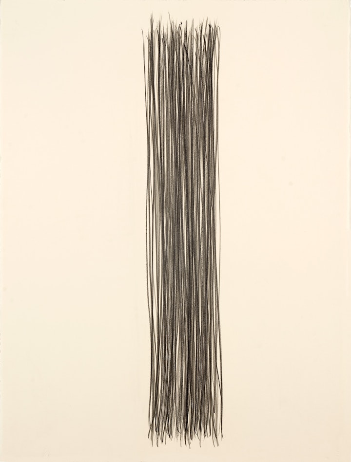 100 Lengths
Graphite on paper, 760 x 575mm, 2018