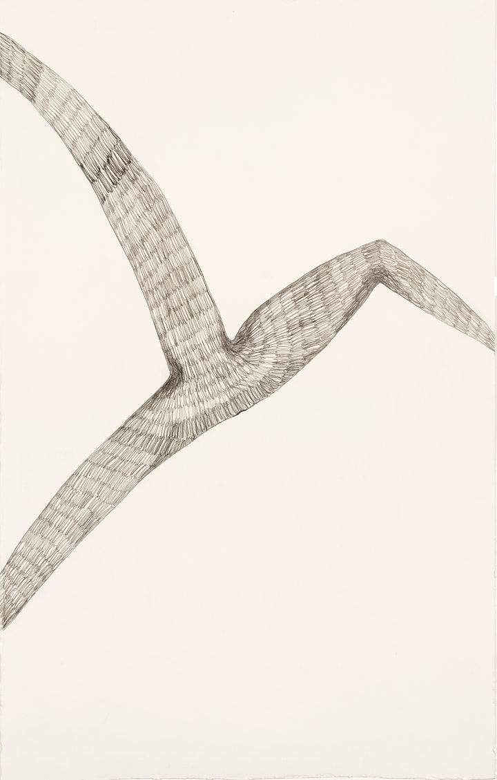 Flowing Backwards
Graphite on paper, 800 x 500mm, 2020
