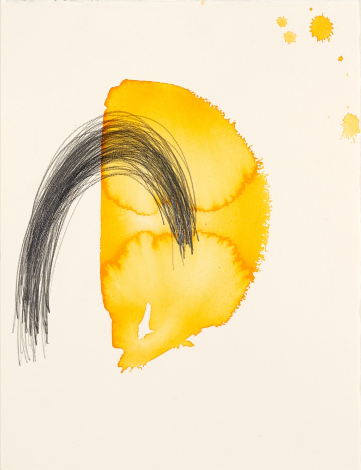 The Last Witch Pool
Ink and graphite on paper, 340 x 250mm