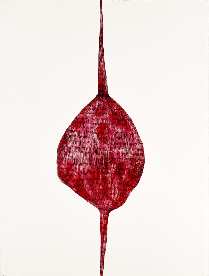 Wrapped
Ink, graphite & acrylic medium, 780 x 585mm, 2019