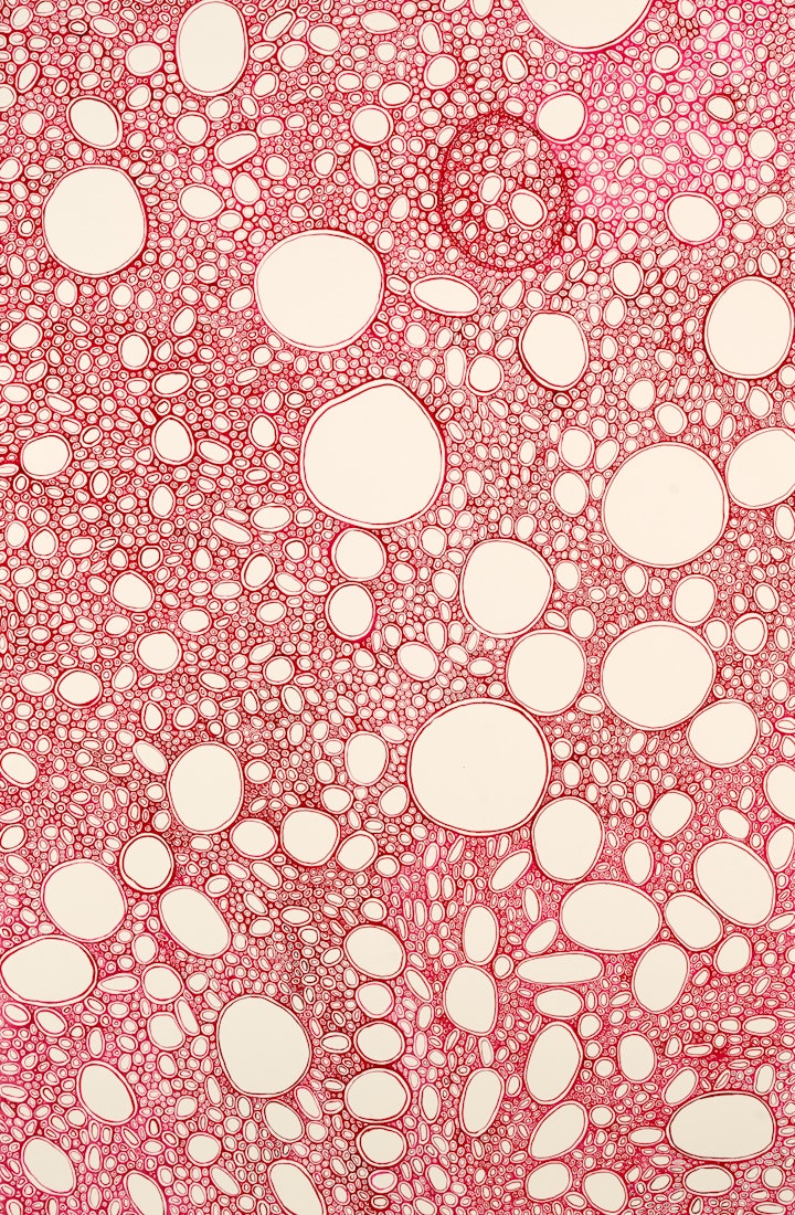 Keep Moving
Ink on paper, 1065 x 670mm, 2018