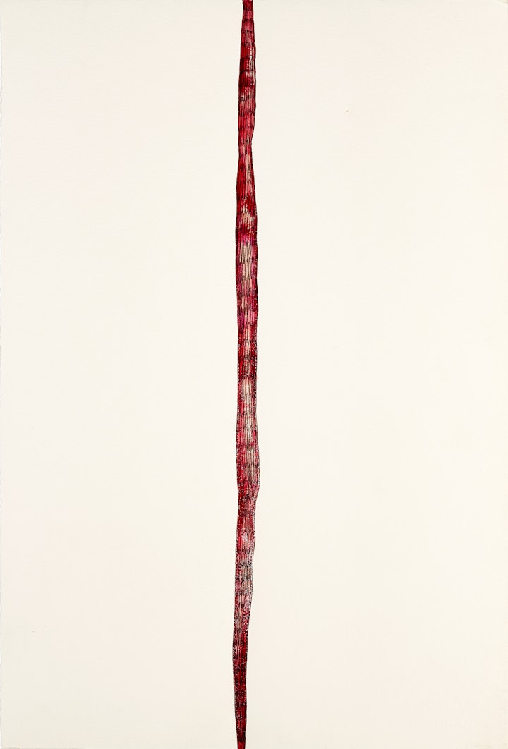 Narrow Pass
Ink, graphite & acrylic medium, 565 x 380mm, 2019