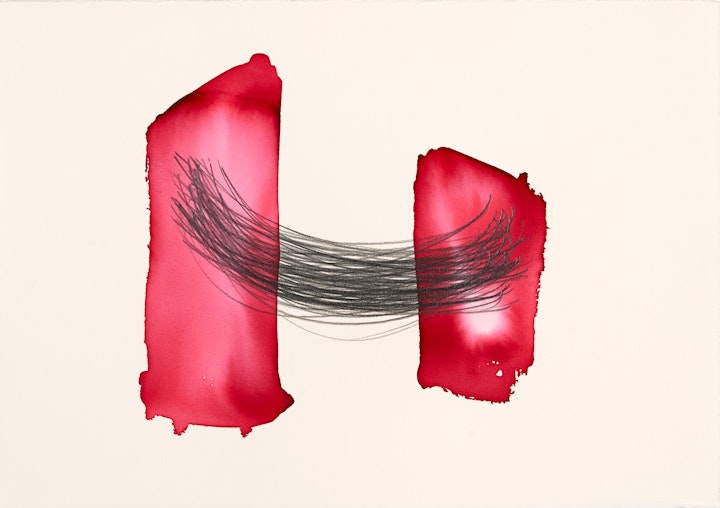 Keeping Close
Ink and graphite on paper, 375 x 270mm, 2019