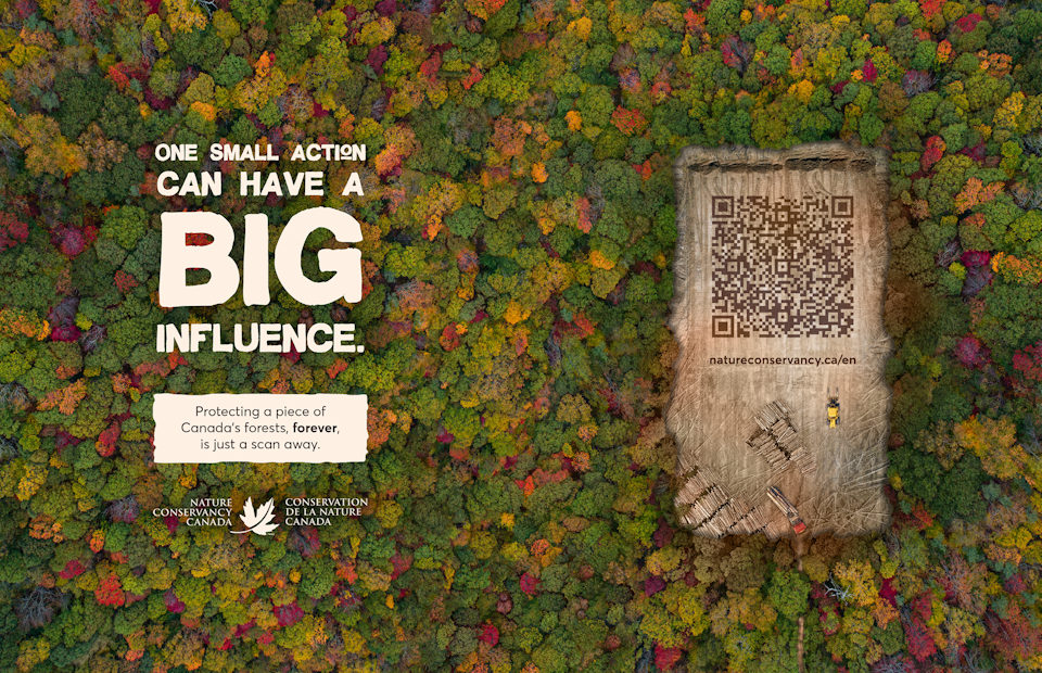 Cannes Young Lions 2023