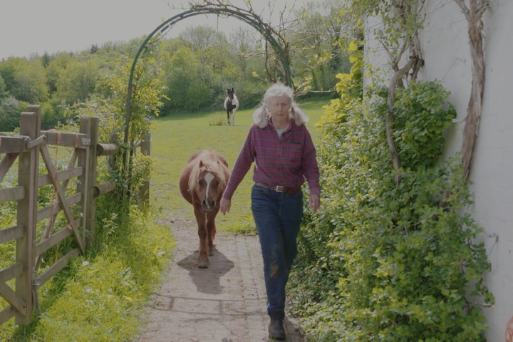 Pam - A Force of Nature (graded WIP)