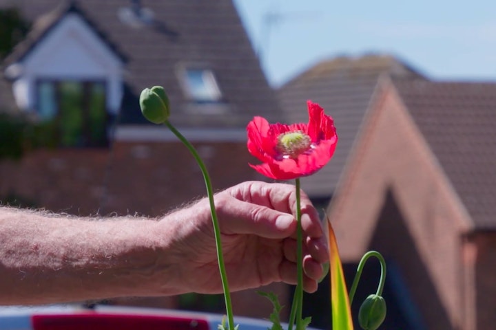 Film 2 Bridgnorth Community Gardening @Fox Corner