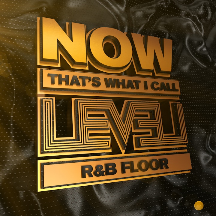 Now That's What I Call Level: R&B Floor