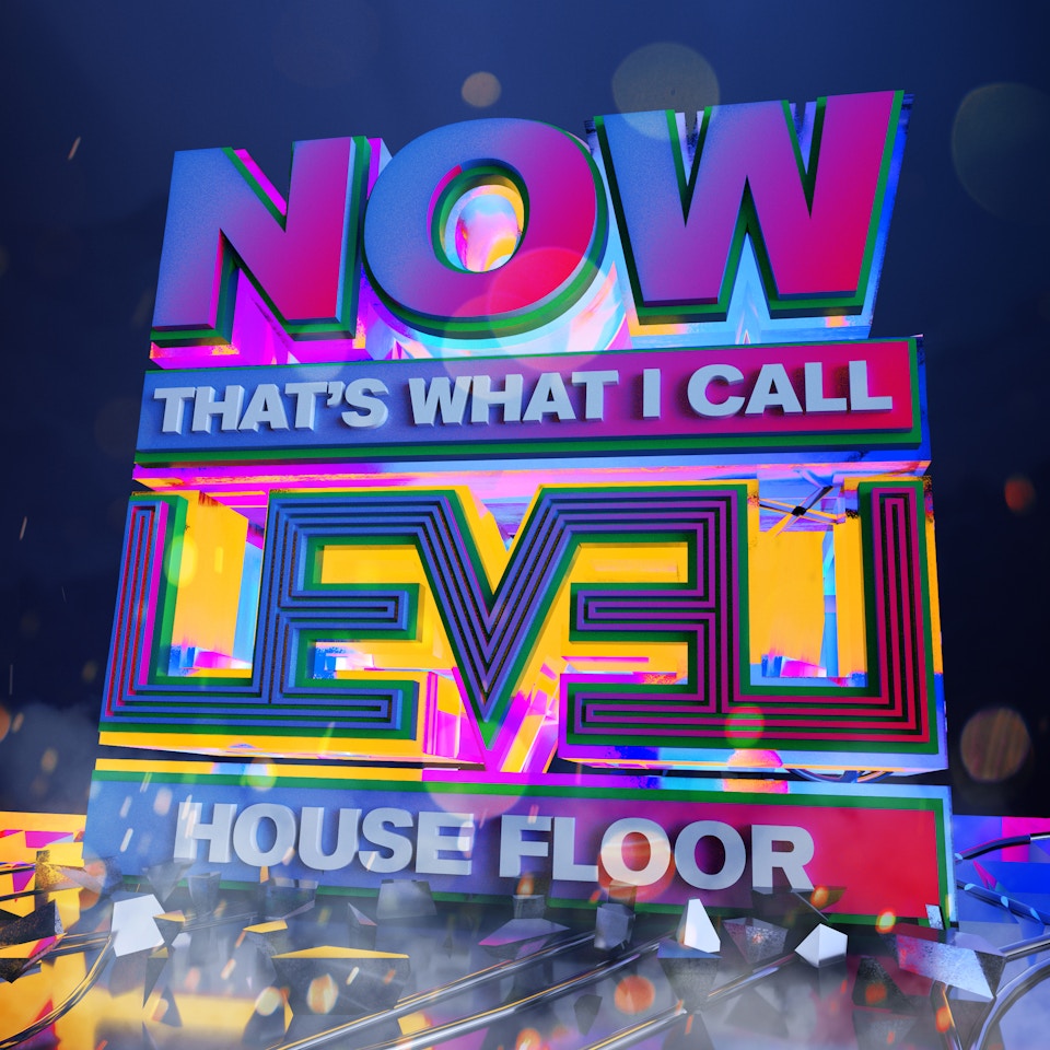 Now That's What I Call Level: House Floor
