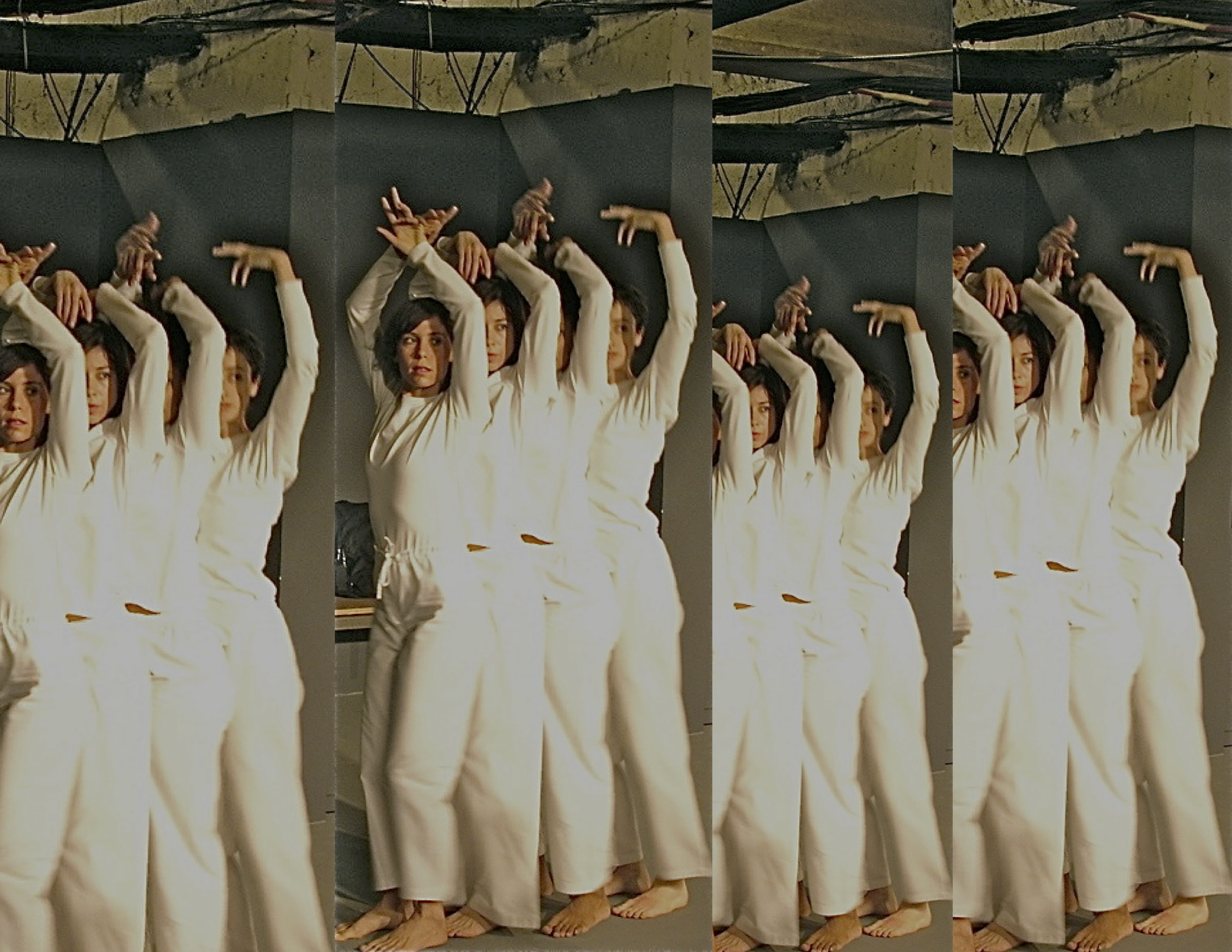TRISHA BROWN