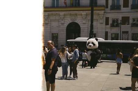 Life | Misc - Panda Bear on fire.
Madrid. 35ºC | 2019