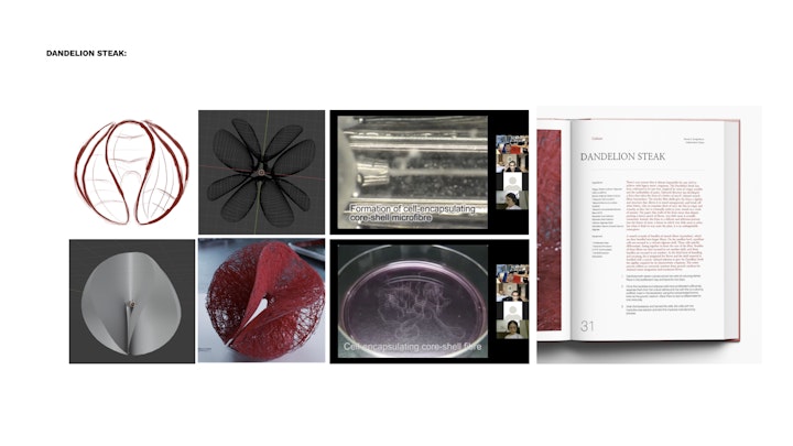 Chef Daniel Soh of Coriander Leaf Singapore was particularly interested in how a 'crispy' piece of meat could be created. I envisioned a form, and then worked with Dr Ming Hao Nie to understand how starch could be integrated into the myofiber cell lining (muscle fibers) to create the crispy texture. I then collaborated with 3D artist Chiaro Sanetaka to create visualizations of the piece of cultivate meat.
While the technology to create such a dish needs to mature, this speculative piece of meat illustrates some of the culinary possibilities that may await us.