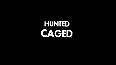 Hunted (part two) Caged