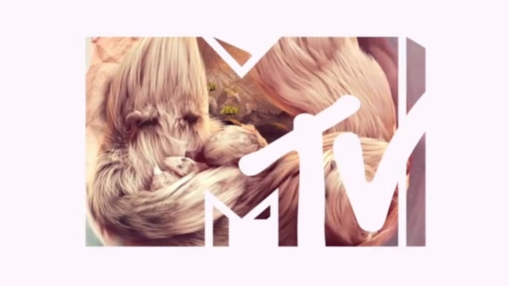 MTV | International rebrand