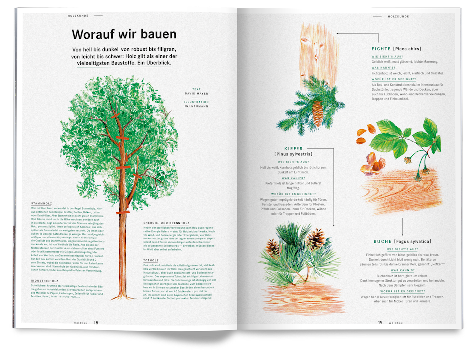 Issue 14 Bayerische Staatsforsten