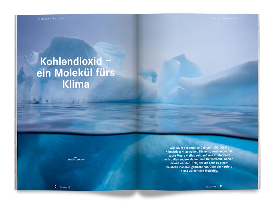 Issue 16 Bayerische Staatsforsten