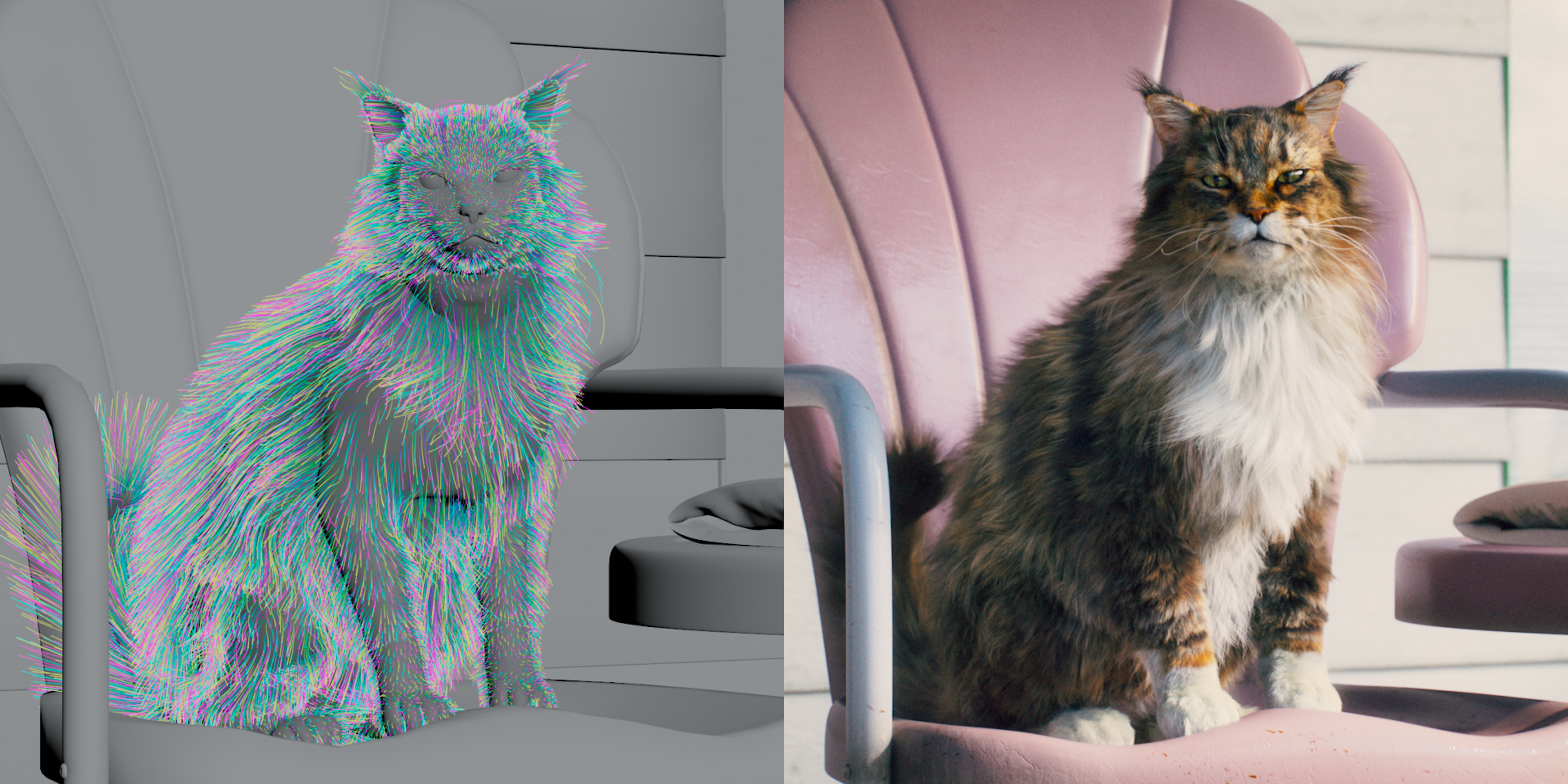 Cats Talk › The Real Scoop