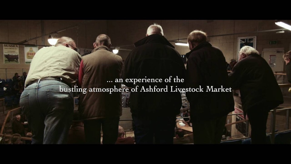 Cattle Market | Dir: Sean Parnell - Trailer for short documentary Cattle Market, directed by Sean Parnell. Shot by London based Cinematographer/Director of Photography Connor Adam.