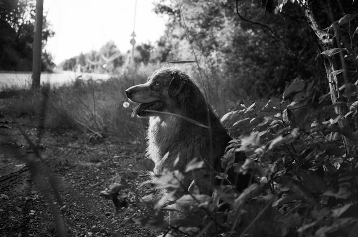 M0000-013-032 - Bree - actor