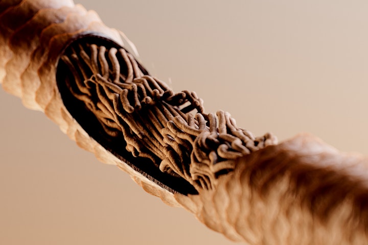 Pantene | Marilyn 3 & Genesis 2.0