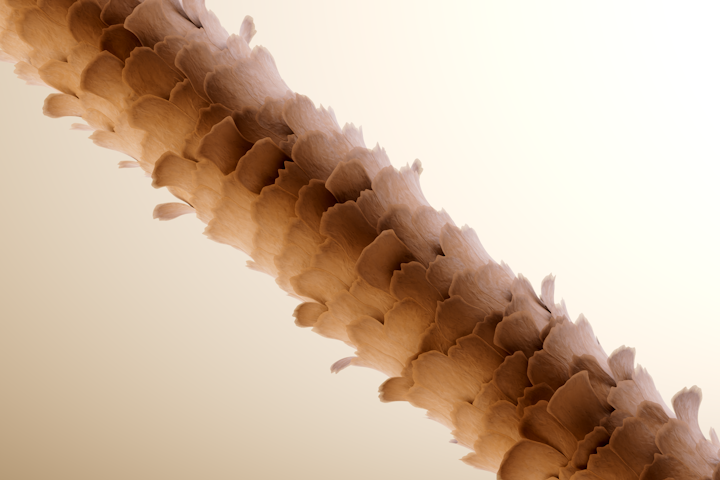 Pantene | Marilyn 3 & Genesis 2.0