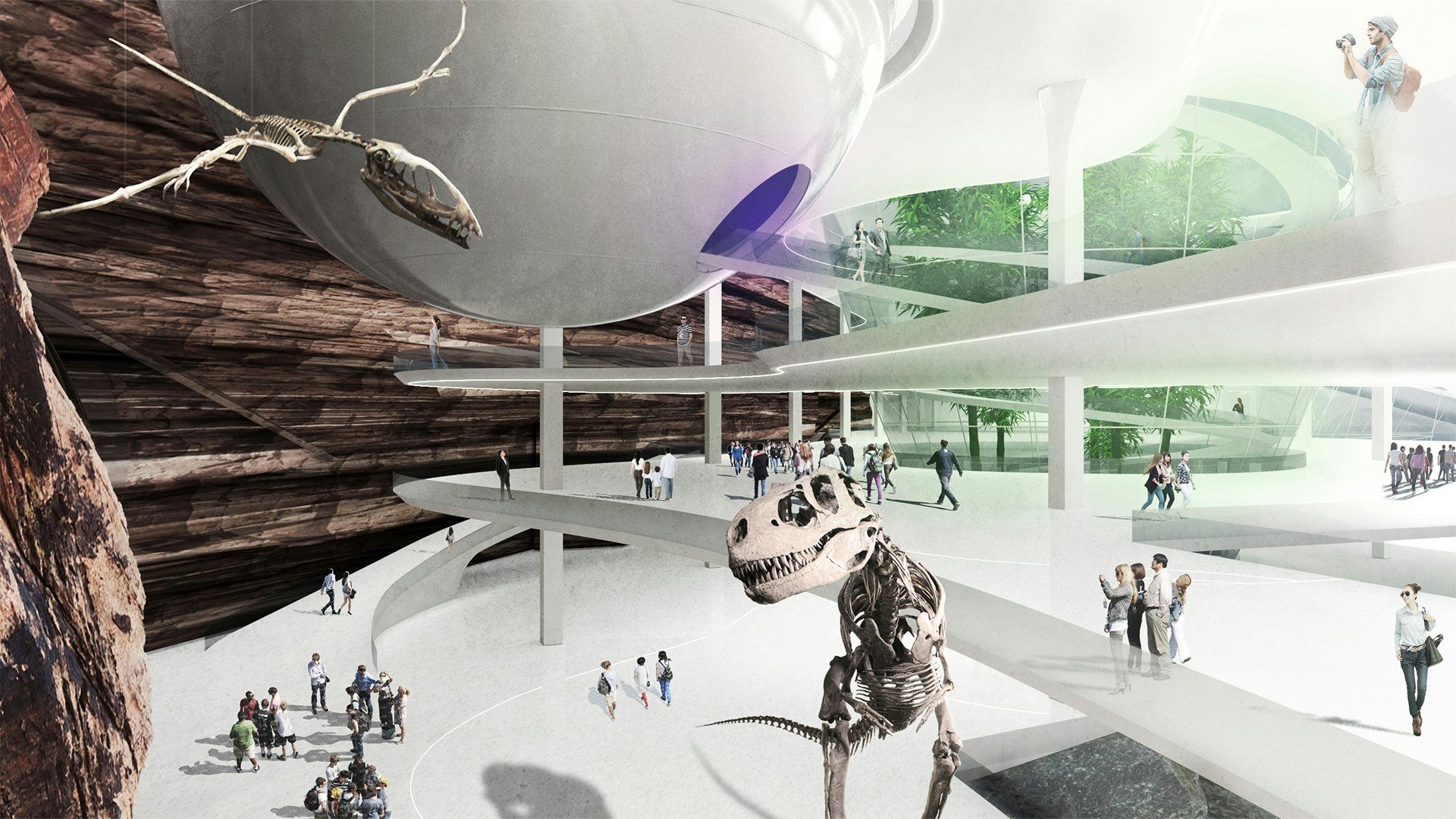 Shenzhen museum of natural history