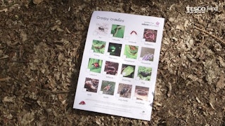 Tesco - Children's series