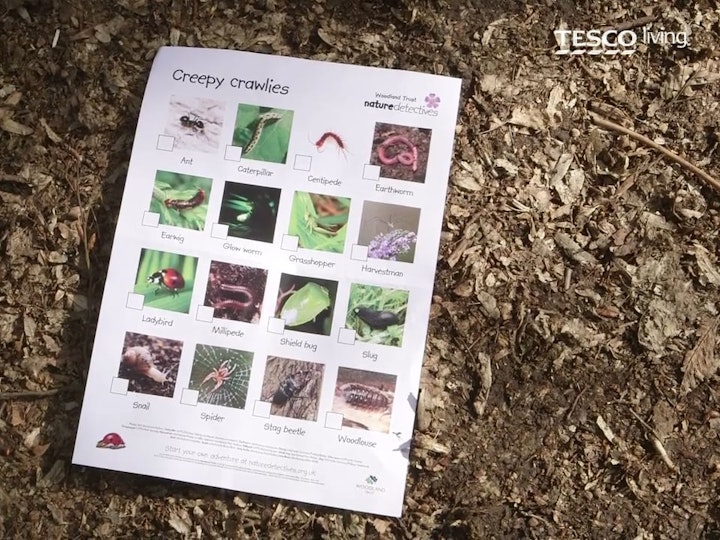 Tesco - Children's series