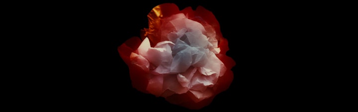 CRISIS 3 et Flowers en ligne