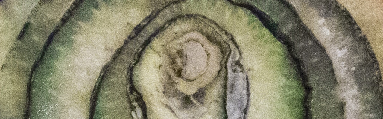 Nouveau site