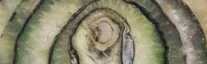 Nouveau site