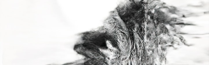 CRISIS 1 et 2 en ligne