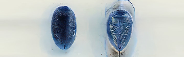 L'expo du printemps, les 19-20 mars à la Fabrica114