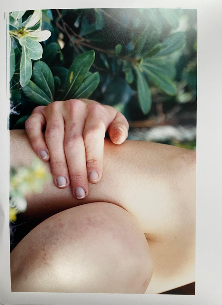 Still Life & Details