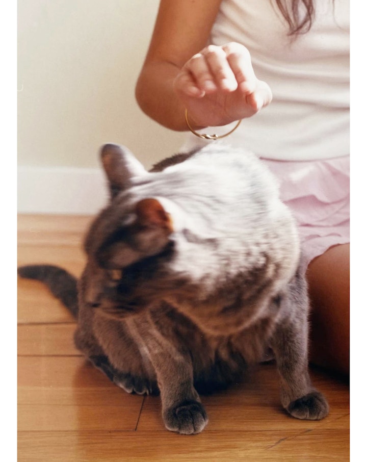 Still Life & Details