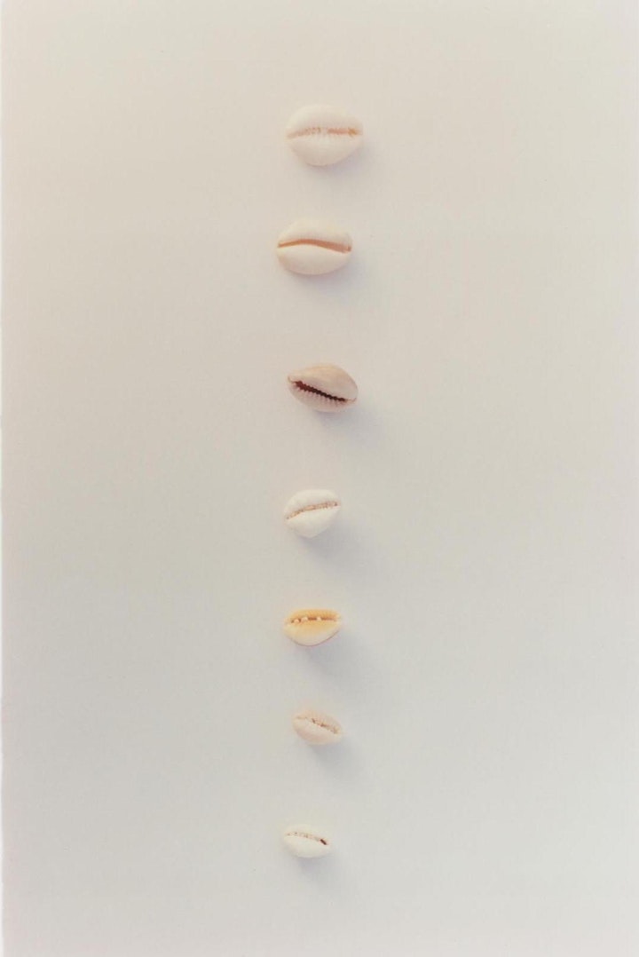 Still Life & Details