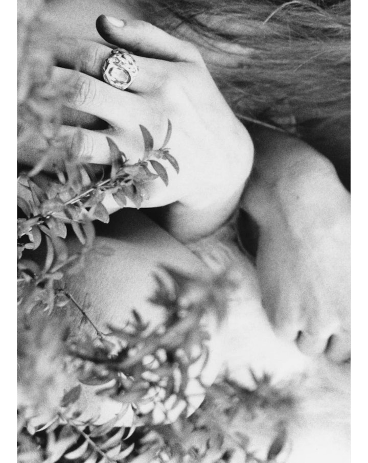 Still Life & Details