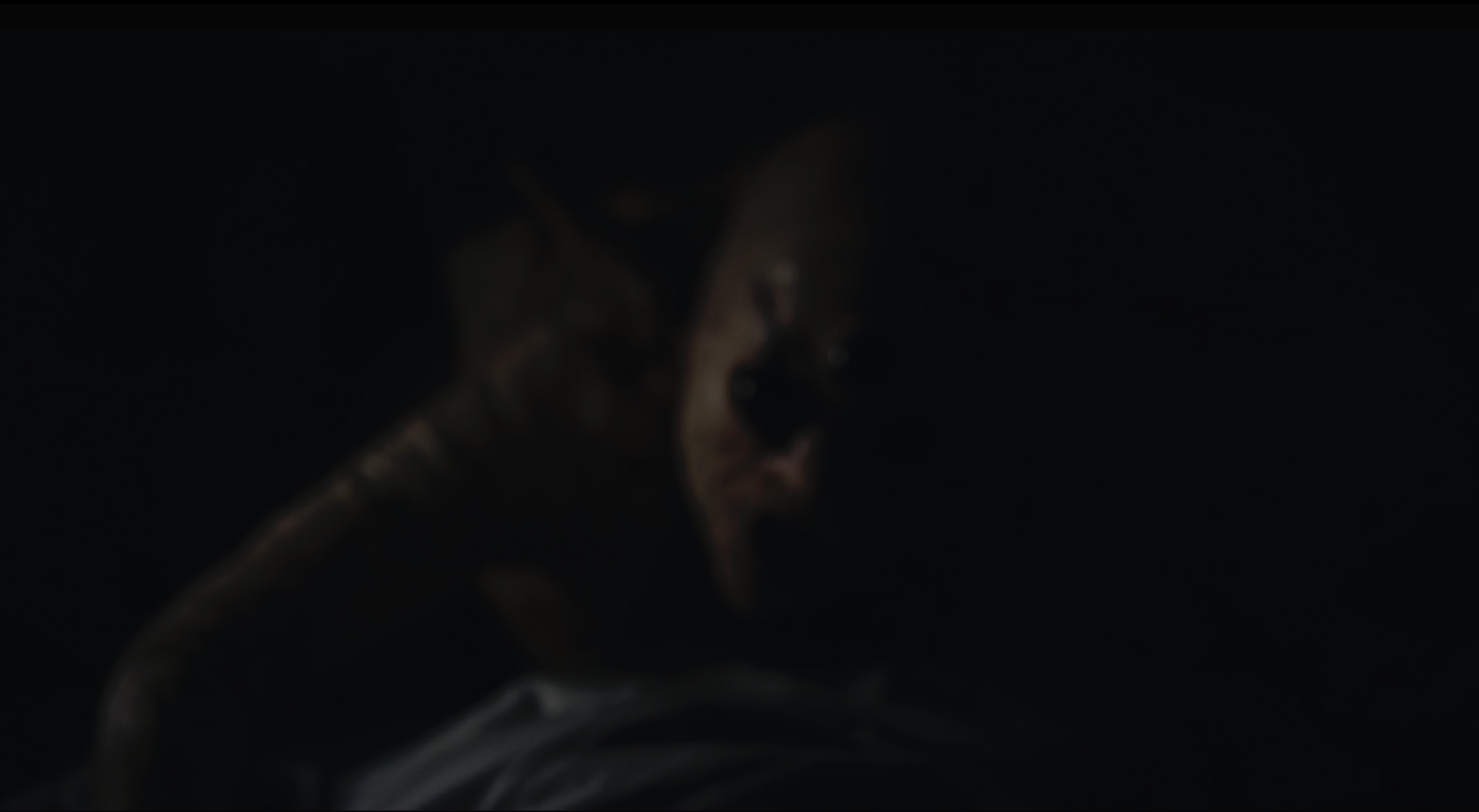 Screen Shot 2020-08-11 at 12.45.03 PM -