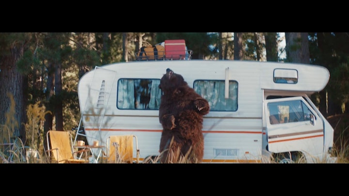 Sunny ‘Bear Vs Camper’ | Ben Gregor | Knucklehead