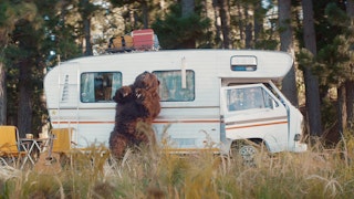 Sunny ‘Bear Vs Camper’ | Ben Gregor | Knucklehead
