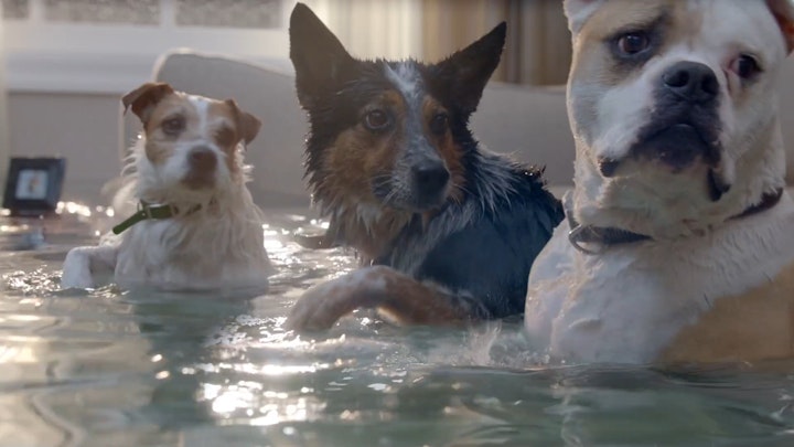 FARMERS INSURANCE  "Mermutts"
