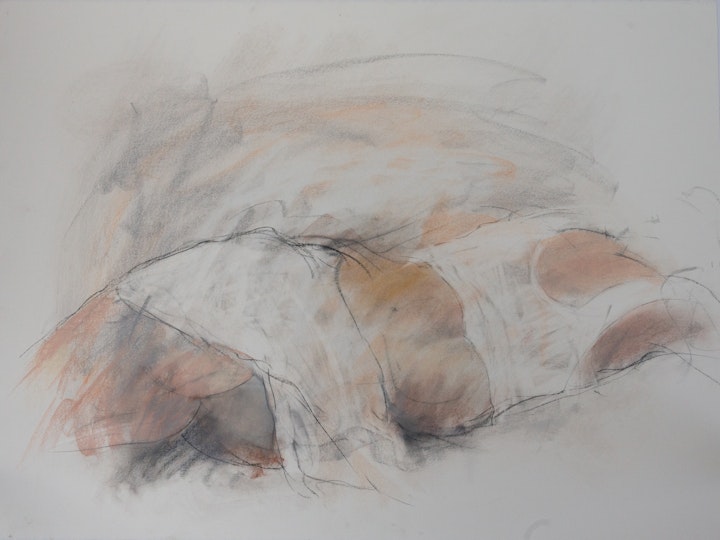 "Nudes in White 1"
Pastel on textured paper - 22"H x 30"W
Katharine Gould